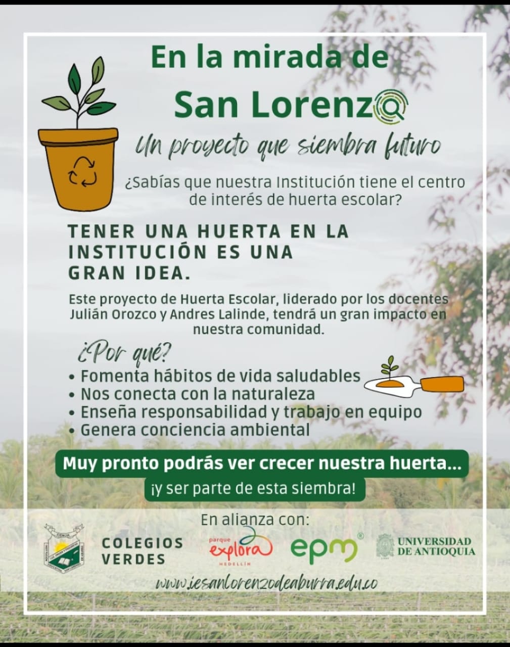 Huerta Escolar
